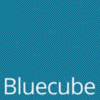 BLUECUBE TECHNOLOGY SOLUTIONS