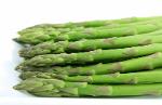 asparagus green 11x450 GR XL