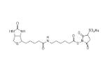 Biotin AC5-Sulfo-OSU