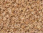 Walnut kernels