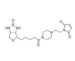 Biotin-PE-maleimide