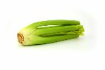 celery 1 PC