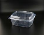 By-efe Plastic Salad Container Efe-gsk-s2