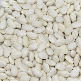 White Beans (Dermason)