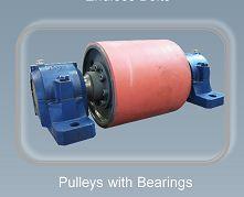 Pulleys with bearings