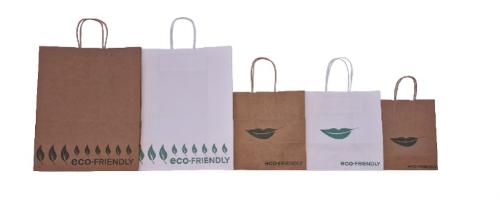 eco-friendly kraft-paper bags 