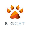 BIG CAT AGENCY