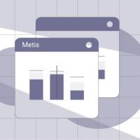 Metis. Corporate planning and performance management