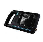 Vet pregnancy ultrasound scanner