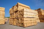 Square timber 75x78x2400