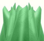 Colour Tissue Paper Apple Green