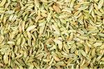 FENNEL EXTRACT