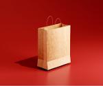 Paper bag for grocery stores