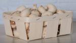 Packaging for mushrooms