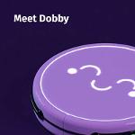 Meet Dobby