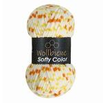 Wollbiene Soft Color Knitting Yarn