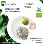 Organic Coconut Freeze-Dried Water powder with Orange Flavor