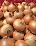 Onions (yellow)