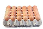 Wholesale Chicken eggs Table white Eggs