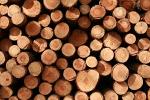 Hardwood timber