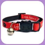 I Am New To The Area' Kitten Collar - Red
