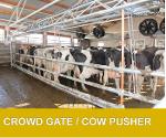 Calf pusher - crowd gate