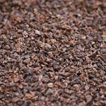 Cocoa Nibs and Cocoa Beans