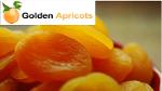 Dried Apricot from Malatya/Turkey