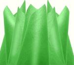 Colour Tissue Paper Parrot Green