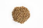 SPROUTED SPELT 