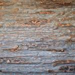 Rustic Wood Panels 