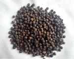 Sri Lanka black Peppercorns [500GL + 550GL pepper] 
