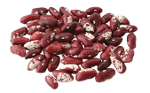 Red variegated calibrated beans