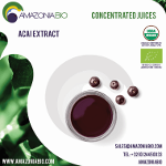 Organic Açaí Clarified Extract Concentrated