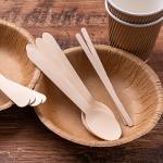 Resistant compostable disposable wooden spoon 100 pcs