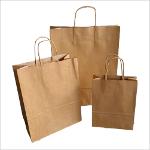 Kraf Twisted Wing Paper Bags