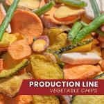 Vegetable Chips Making Machine