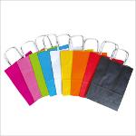 Colorful Twisted Wing Paper Bags