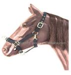 Horse Cavesson with brass fitting for horse bridge accessori