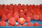 Strawberry IQF - European origin (Fragaria ananassa) 