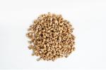SPROUTED WHEAT 