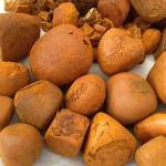 Dried Cow Ox Gallstones / Cattle gallstones for sale
