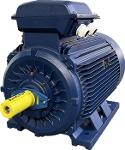 Asynchronous motors with ATEX cage ZONE22 II3D 