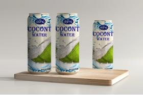 DANA Canned Coconut water