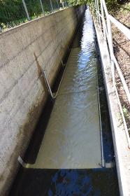 Energy recovery from sewage treatment plants 