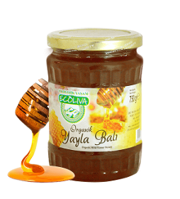 Organic Polyflora Honey