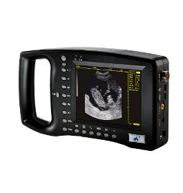 Animal pregnancy ultrasound scanner