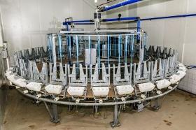 Rotary Milking Parlour for Goasts & Sheep 