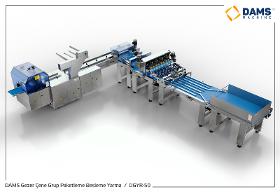 DAMS Mobile Jaw Packaging Machine With Slicer and Feeder DGYR-50