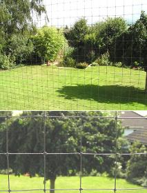 Cat protection net | polyester (PES) | width 2,50m